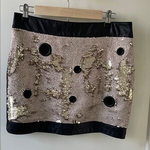 Sequin Mini Skirt with Gold Accents and Black Trim